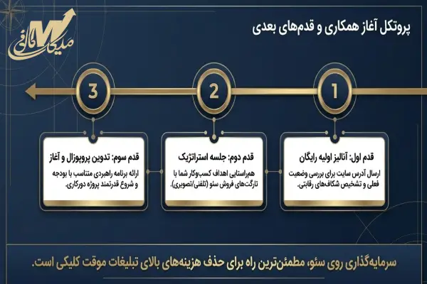 نحوه همکاری و سفارش پروژه سئو دورکاری با ملیکا مافی
